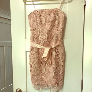 Blush Adrianna Papell Dress